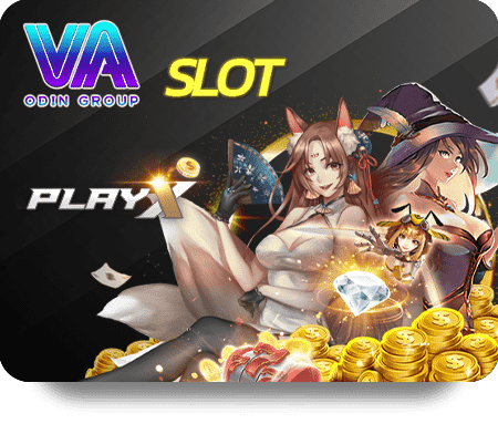 VF555 Live Dealer Hot: Safe and Secure Gambling Experience