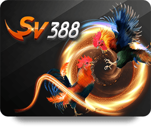 TK88 Casino Đẳng Cấp: The Leader in Online Entertainment